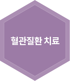 혈관질환 치료