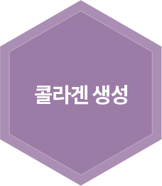 콜라겐 생성