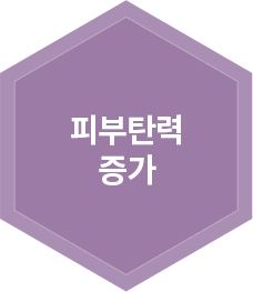 피부탄력 증가