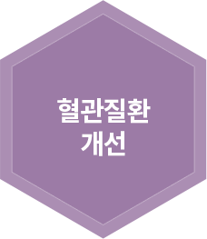 혈관질환 개선