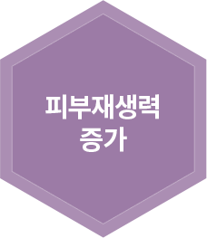 피부재생력증가