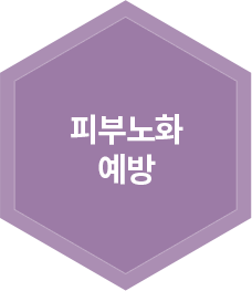 피부노화예방