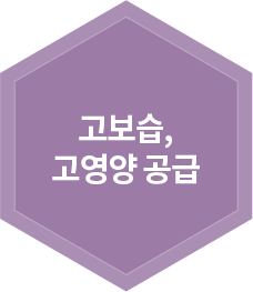 고보습,고영양 공급