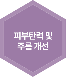 피부탄력 및 주름 개선