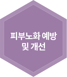 피부노화 예방 및 개선 