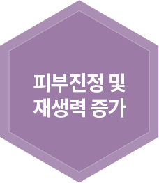 피부진정 및 재생력 증가