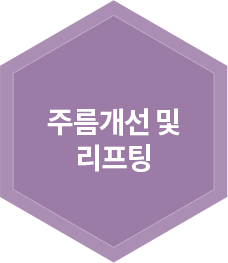 주름개선 및 리프팅