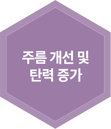 주름 개선 및 탄력 증가