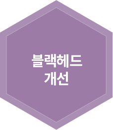 블랙헤드 개선