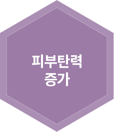 피부탄력 증가