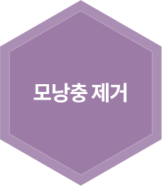 모낭충 제거