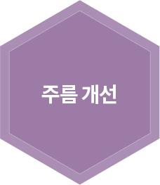 주름 개선