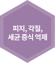 피지, 각질, 세균 증식 억제