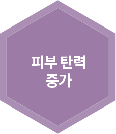 피부 탄력 증가