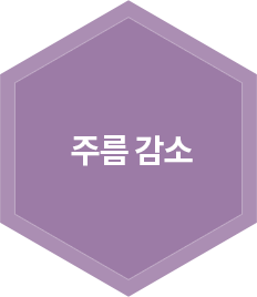 주름 감소