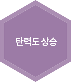 탄력도 상승