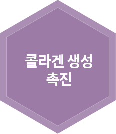 콜라겐 생성 촉진