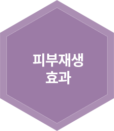 피부재생  효과