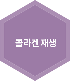 콜라겐 재생