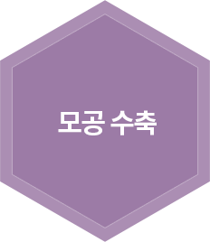 모공 수축
