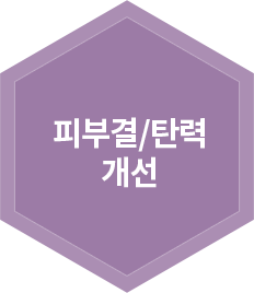 피부결/탄력개선
