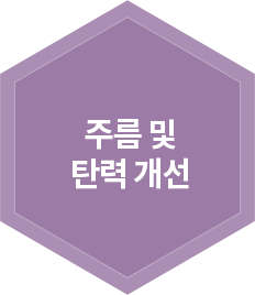 주름 및 탄력개선