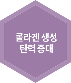 콜라겐 생선 탄력 증대