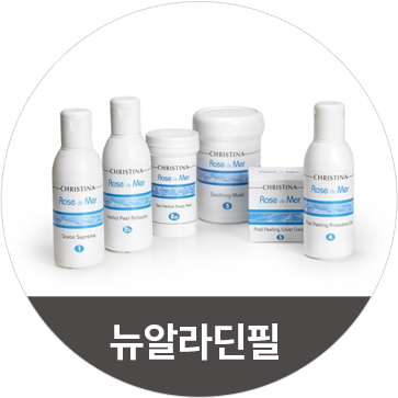 뉴알라딘필