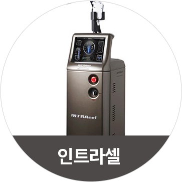 인트라셀