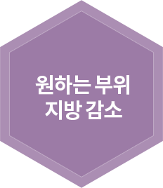 원하는 부위 지방 감소