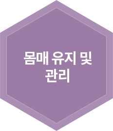몸매 유지 및 관리