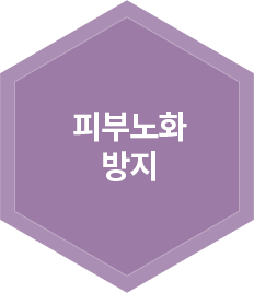 피부노화방지