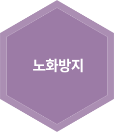 노화방지