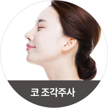 바디 조각주사